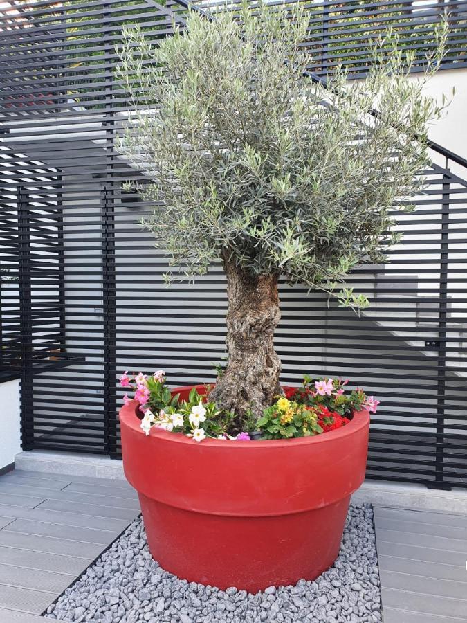 Visioni Lake View Boutique Rooms & Breakfast - Adults Friendly Riva del Garda Exteriér fotografie